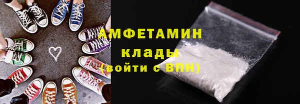 индика Новодвинск