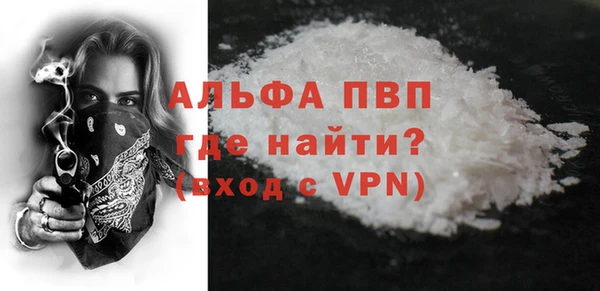 индика Новодвинск