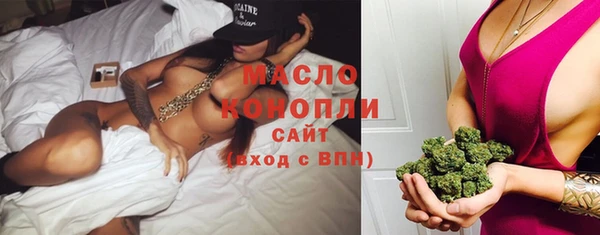 индика Новодвинск