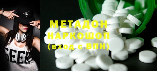 индика Новодвинск