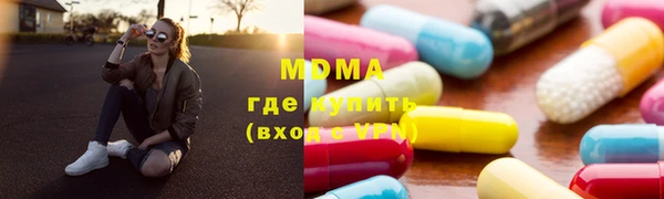 индика Новодвинск