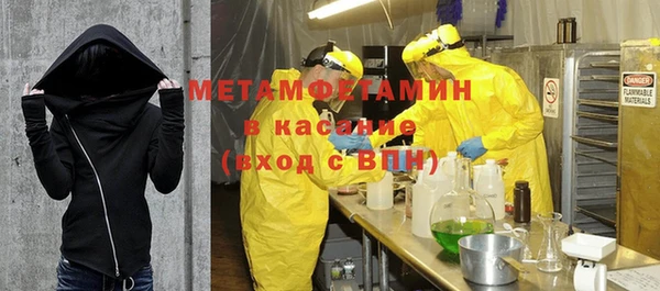 индика Новодвинск