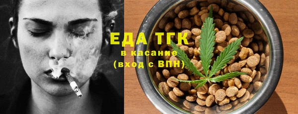 индика Новодвинск