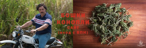 индика Новодвинск