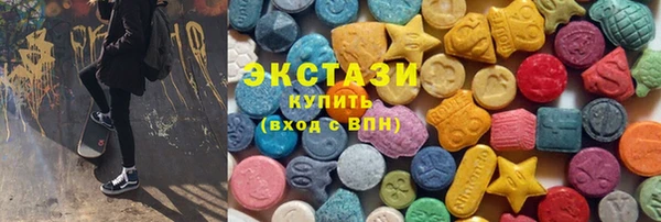 индика Новодвинск