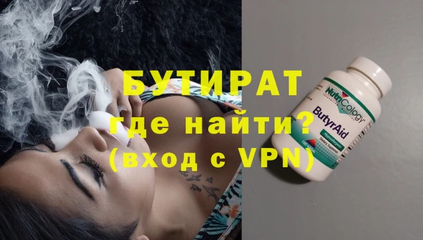 индика Новодвинск