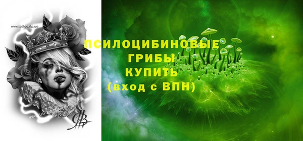 ПСИЛОЦИБИНОВЫЕ ГРИБЫ Новокубанск