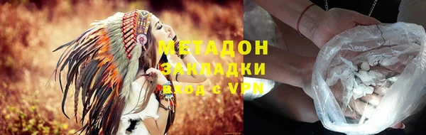 индика Новодвинск