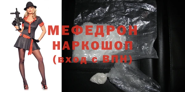 индика Новодвинск