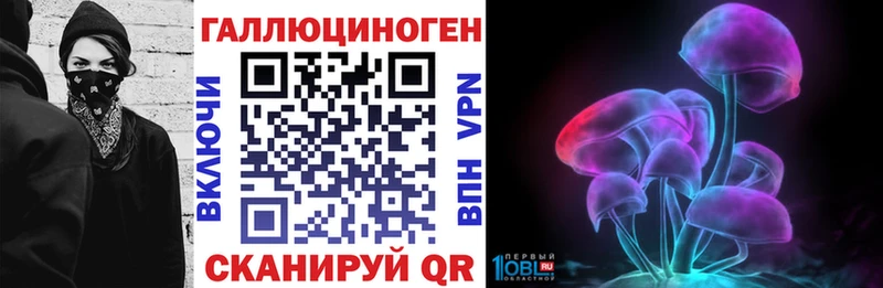 закладка  Ялуторовск  Псилоцибиновые грибы мицелий 